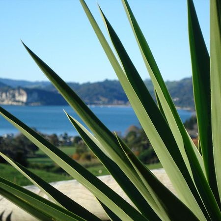 Ohuka Place Homestay Whitianga Exterior photo